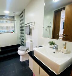 Rhapsody On Mount Elizabeth (D9), Apartment #503772341